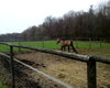 horse ranch in Darmstadt