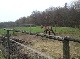 horse ranch, Main-Kinzig-Kreis, Hessen